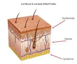 La semplicità della bellezza naturale