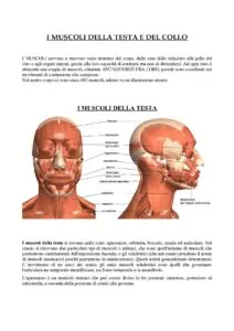 Tabella riassuntiva dei vari muscoli facciali